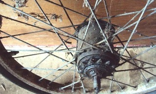 e1163.jpg