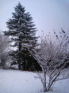 111202_0747~0001.jpg