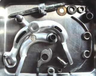 D1549.jpg