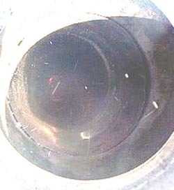 c1125~0001.jpg
