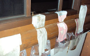 c2798.jpg